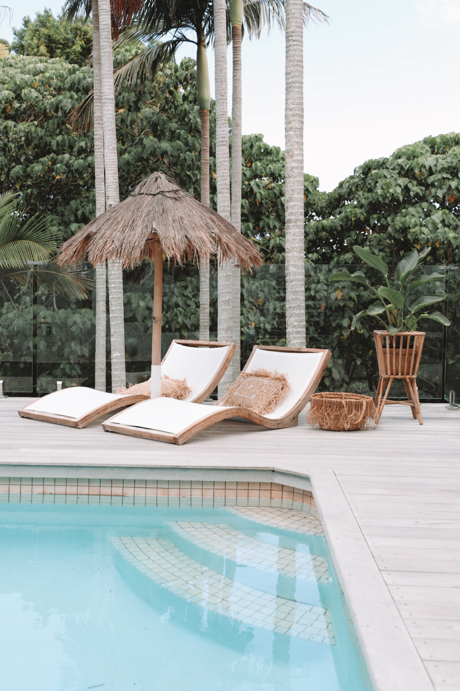 palm trees and coastal style pool area in gold coast