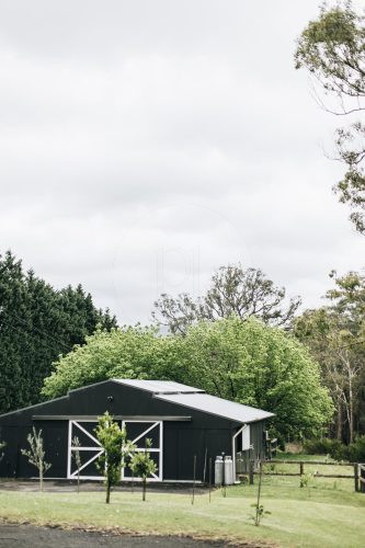 The Dara Farm, Berry-17