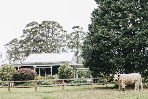 The Dara Farm, Berry-20