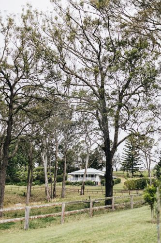 The Dara Farm, Berry-34