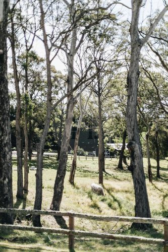 The Dara Farm, Berry-39