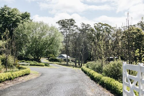 The Dara Farm, Berry-42