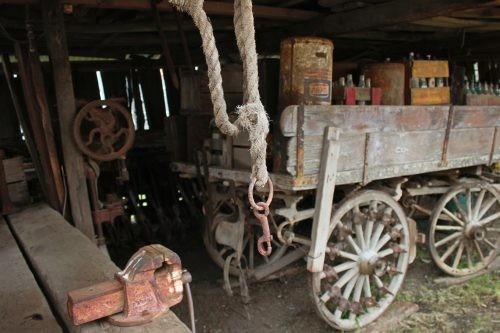 Drovers Run, Littlehampton_11