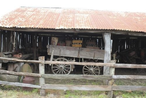 Drovers Run, Littlehampton_16
