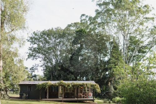 Blanca, Byron Bay Hinterland-01