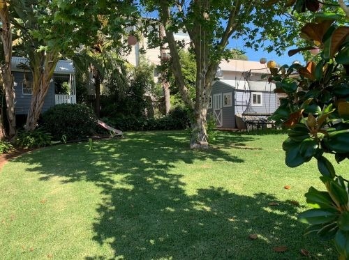 backyard