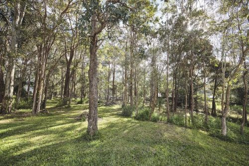 Timberstone, Gumdale 15