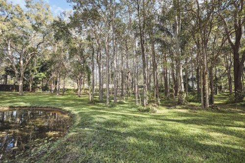Timberstone, Gumdale 16