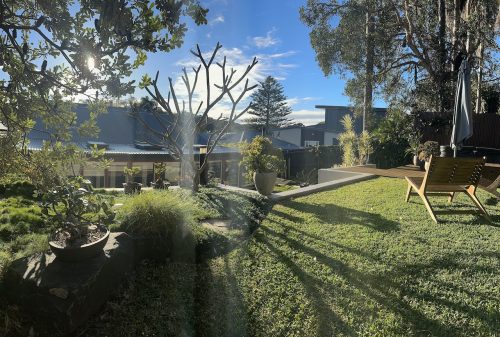 outdoor area backyard
