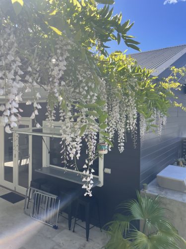 Bell Cottage, North Narrabeen 08