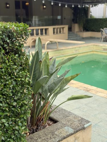 THE MANSION, ELSTERNWICK134
