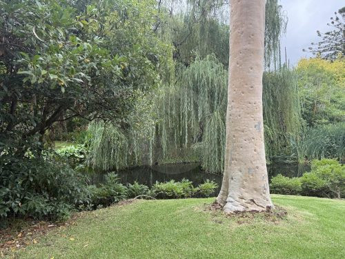 garden established