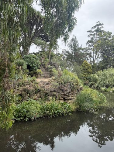 THE MANSION, ELSTERNWICK181