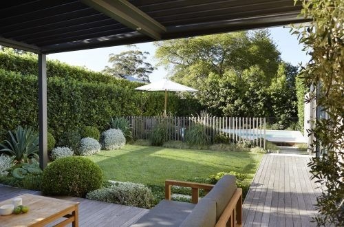 backyard