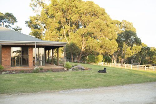 The Durack, Munster-10