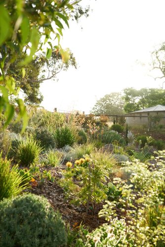 established garden