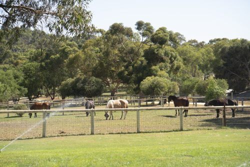 The Durack, Munster-30
