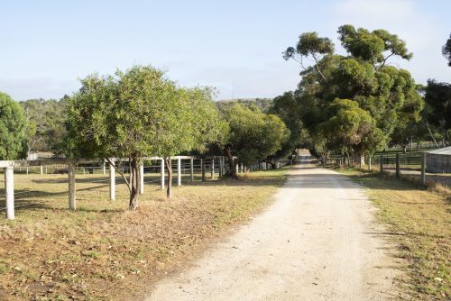 The Durack, Munster-33