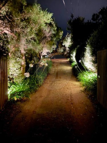 Moonah, Portsea-21