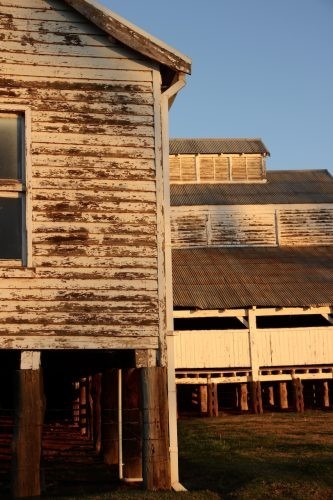 Clementine, Quirindi 14