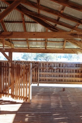 Clementine, Quirindi 25