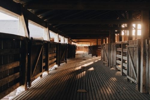 Clementine, Quirindi 28