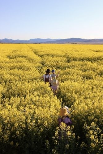 Clementine, Quirindi 5