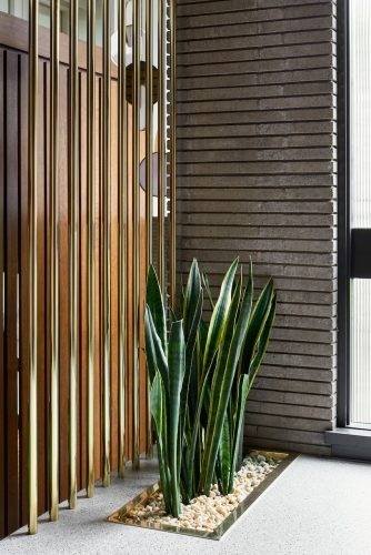 Pablo, Balwyn North-33