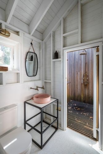 Eucalyptus Avalon 14
