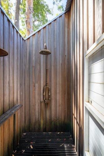 Eucalyptus Avalon 15