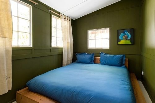 Eucalyptus Avalon 21