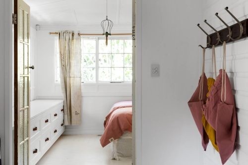 Eucalyptus Avalon 24