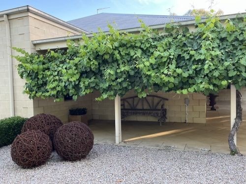 Grove Estate, Benalla 07