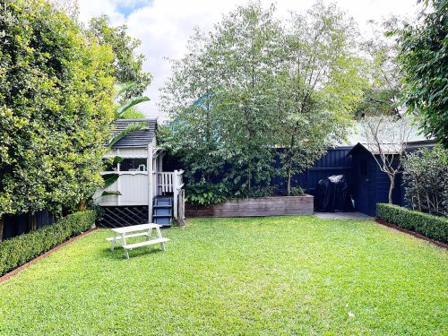 backyard garden established