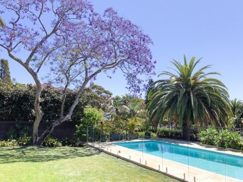 backyard pool garden established