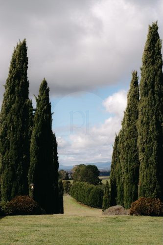Valerie Estate, Spring Hill 11