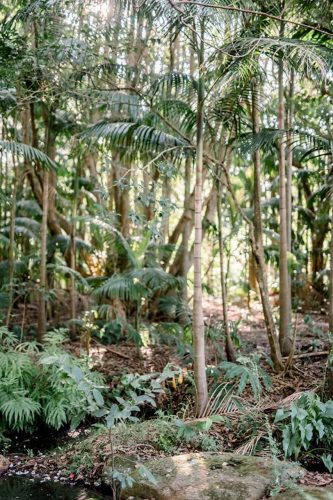 Hastings House, Mt Tamborine 16