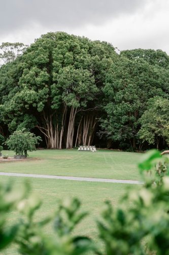 Hastings House, Mt Tamborine 25