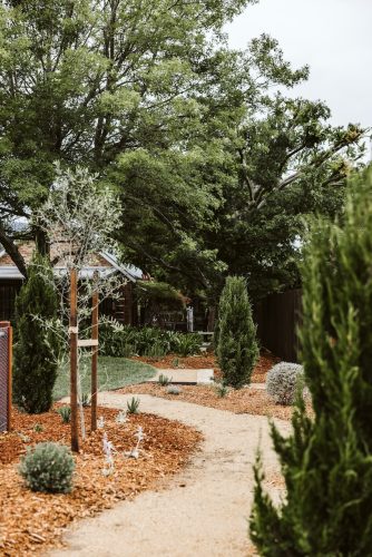 backyard, garden established