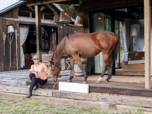 The Homestead, Currumbin Valley Horse 1
