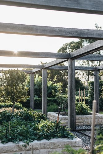 Berry Farm, Berry_51