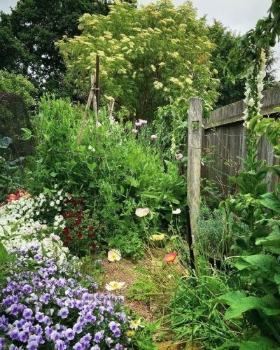 garden established