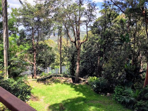 backyard