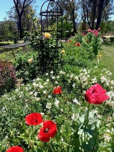 Flowerfield Cottage, Hartley 14