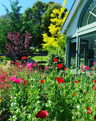 Flowerfield Cottage, Hartley 18