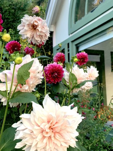 Flowerfield Cottage, Hartley 23