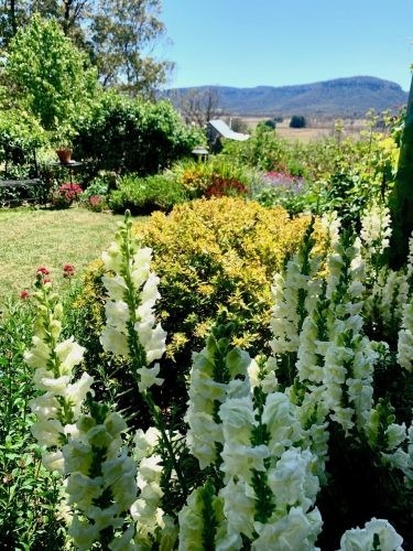 Flowerfield Cottage, Hartley 7