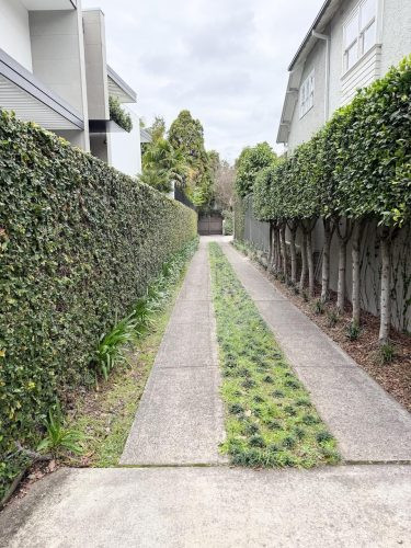 driveway