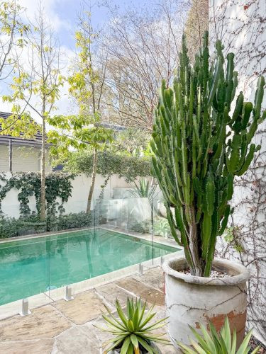 Roaming House, Bellevue Hill - New 62