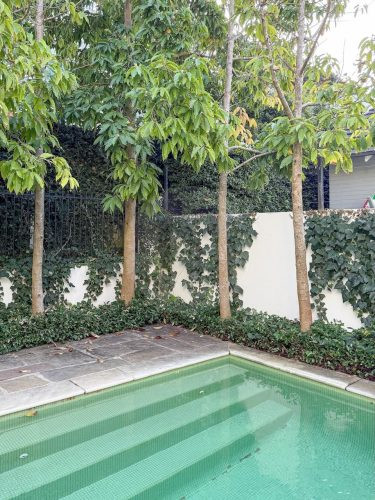 Roaming House, Bellevue Hill - New 72